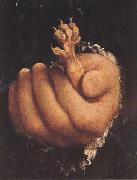 Lorenzo Lotto Man with a Golden Paw (mk45) oil painting picture wholesale